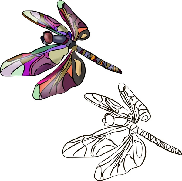 Two stylized dragonflies, identical in outline. One is brightly colored in different colors. The second dragonfly is black and white, it can be painted. Vector illustration for coloring. 10 EPS