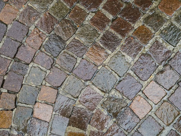 Wet Sidewalk Creates Brilliant Backdrop Paving Stones Laid Out Semicircle — Stock Photo, Image