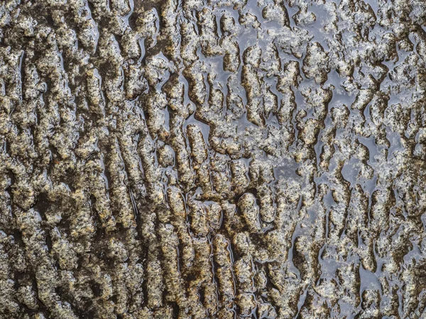中世の石の穴の開いた表面 溝に蓄積された水 ヴィンテージ石の背景 — ストック写真