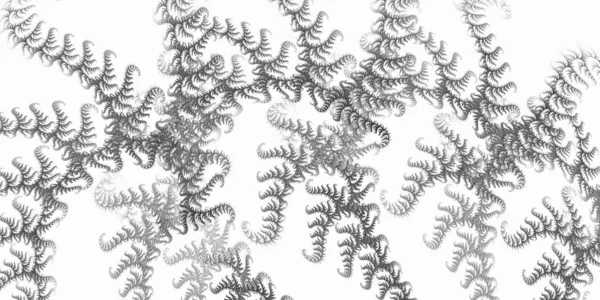 白地にはシダの葉に似た細い波状の縞が描かれています 要旨フラクタルコンピュータ モノクロコンピュータ生成背景 — ストック写真