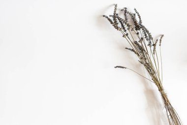 Beyaz bir arkaplan üzerine yerleştirilmiş mor lavanta çiçekleri. Üst manzara, düz düzen, kopyalama alanı. Konsept, arka plan minimali. Vazodaki kurumuş çiçek kartvizitte ya da arka planda.