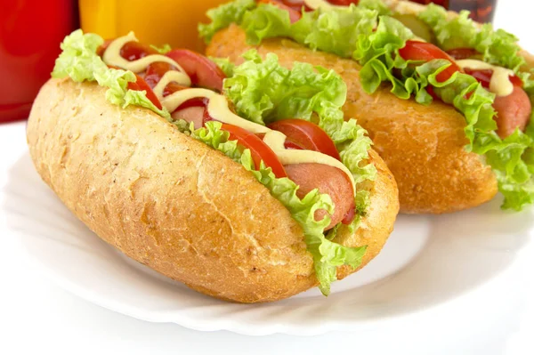 Hotdogs en plato con cola sobre fondo blanco —  Fotos de Stock