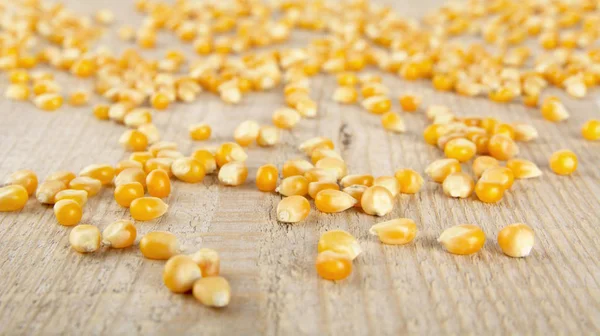 Scattered ripe dried yellow corn on wooden desk — Stock Photo, Image