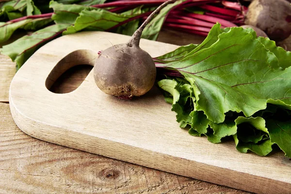 Closeup view of chard,leaves and beetroots on soup on cutting board — Stock Photo, Image