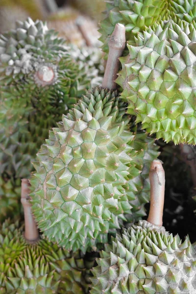 Heap of the durian - Soft focus — Stock Photo, Image