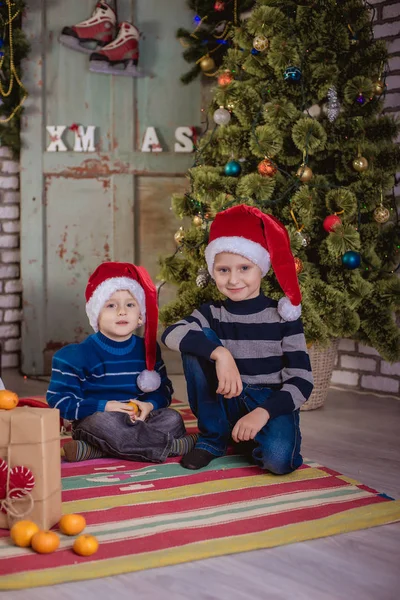 Two boys hats of Santa Claus near Christmas tree — Stock Photo, Image