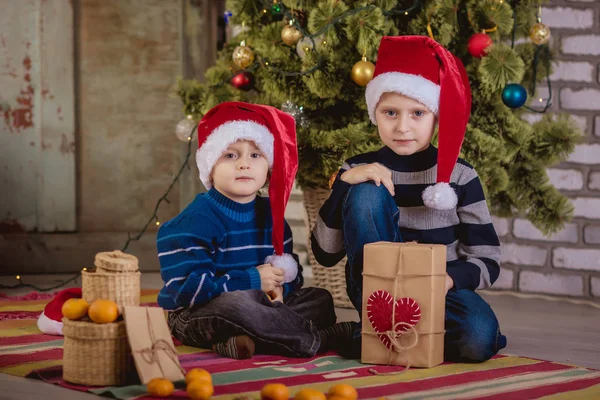 Two boys hats of Santa Claus near Christmas tree — Stock Photo, Image