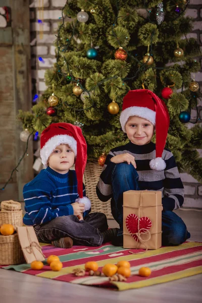 Dos sombreros de los muchachos de Santa Claus cerca del árbol de Navidad —  Fotos de Stock