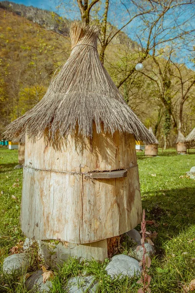 Beehive with thatched roof — Stock Photo, Image