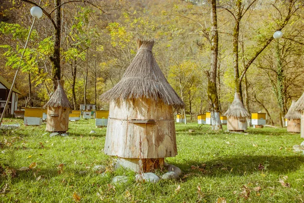 Colmeia com telhado de palha — Fotografia de Stock