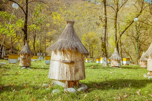 Colmeia com telhado de palha — Fotografia de Stock