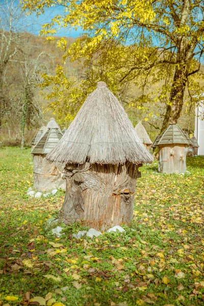 Улей с соломенной крышей — стоковое фото