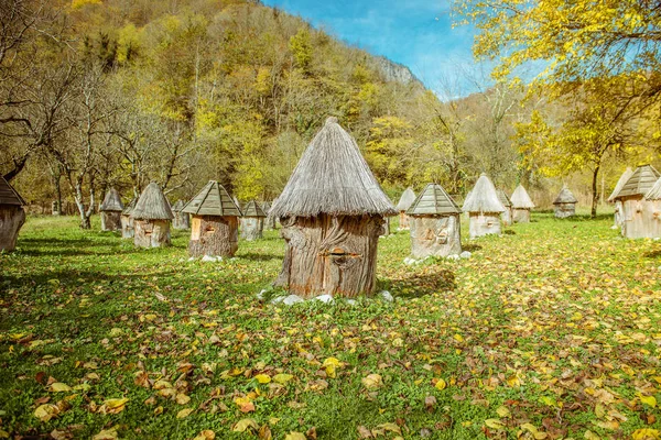 Colmeia com telhado de palha — Fotografia de Stock