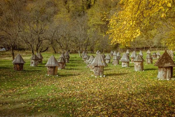 Colmeia com telhado de palha — Fotografia de Stock