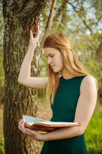 Ragazza con la Bibbia all'aperto — Foto Stock