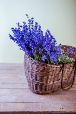 Sepet ve lavanta studio fotoğraf