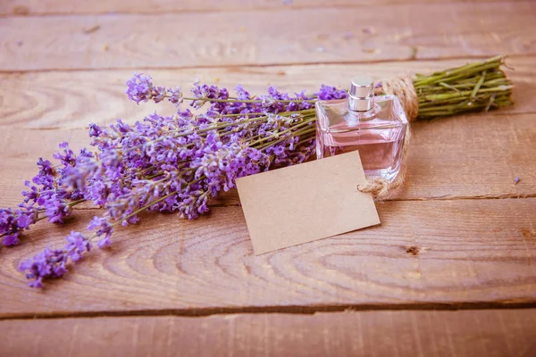 Cosméticos naturales de lavanda . —  Fotos de Stock