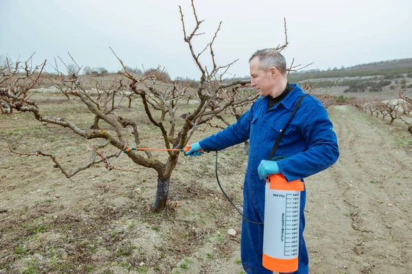 Vesennie Prace Ogrodzie Rolnik Opryskiwania Drzew Chemikaliami Sadzie — Zdjęcie stockowe