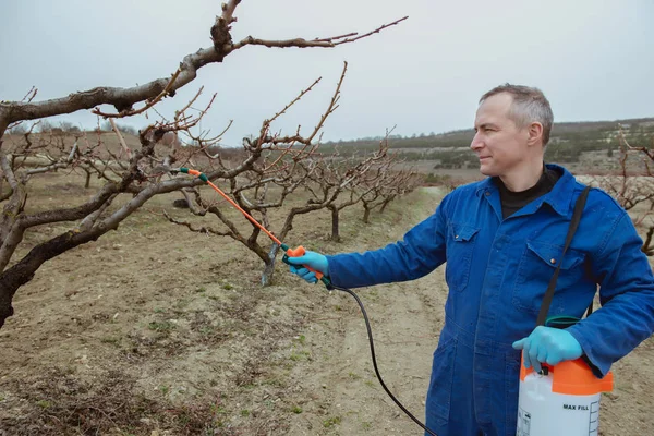 Printemps Travaille Dans Jardin Agriculteur Pulvérisation Des Arbres Avec Des — Photo