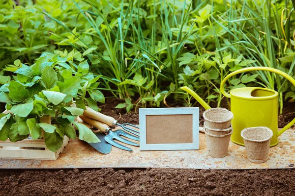 Garden Vegetable Garden Empty Plate Texts — Stock Photo, Image