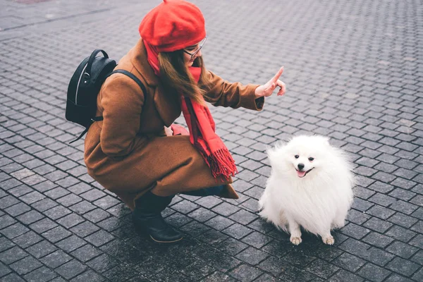 Yung girl trains spitz on the street. — Stock Photo, Image