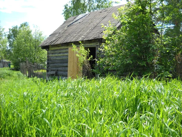 Casa de madera en el pueblo utilizado como una casa de baños. Puerta abierta y techo bajo material para techos. Hierba verde fresca en el prado. Día soleado de verano. Un campo segado inundado de luz solar —  Fotos de Stock