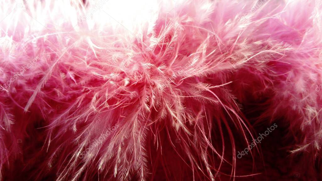 Delicate swan pink fluff. Hood feather trim. Fluffy natural boa feathers over dark pink faux fur. A pink silky fabric is visible above the boa. The fragrance of perfume is kept on fur for a long time.