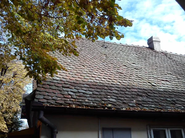 El techo de la casa con azulejos viejos. Un edificio de piedra con baldosas de arcilla quemada. Día soleado en otoño. Plátano alto con hojas que caen amarillentas. Las tejas están cubiertas de musgo y hojas —  Fotos de Stock