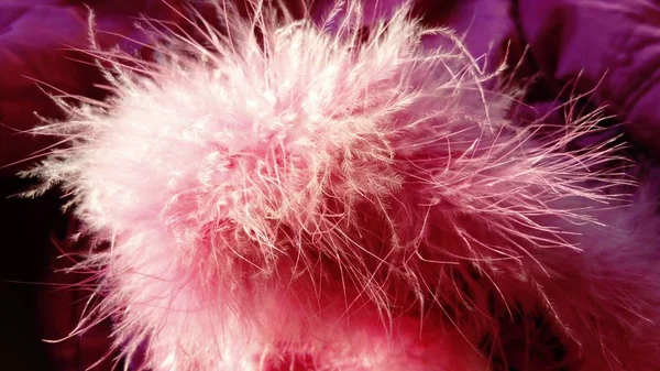 Bolyhos rózsaszín pelyhek és tollak, kellemes tapintású. Pihentető tapintásérzés. Természetes festett szőrme — Stock Fotó