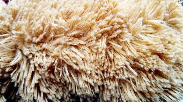 The long pile is beige. The surface of a childrens plush toy. Untreated synthetic material in brown shades. Soft high pile carpet