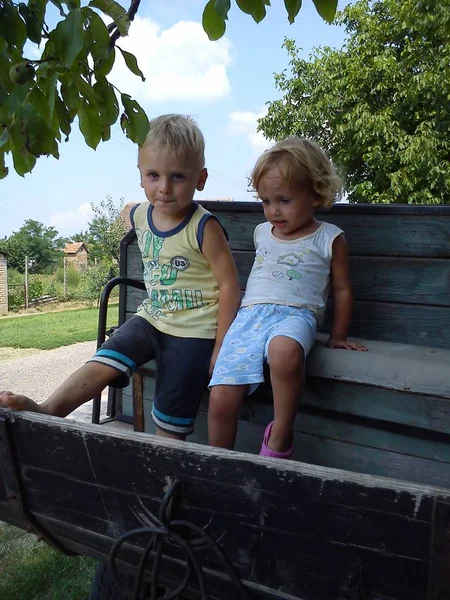 Belgrado, Serbia - 5 de junio de 2019 - un niño y una niña con el pelo rubio están sentados en un banco de madera en un carro. Hermano y hermana están descansando con su abuela en el pueblo —  Fotos de Stock