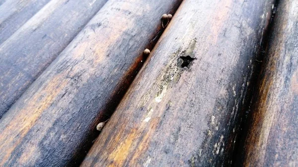 Un tronco de construcción para su uso en construcción sin aserrado longitudinal. Surtido de madera redonda. Fragmento de la construcción de troncos de madera redondeados. El efecto de la humedad en la madera — Foto de Stock