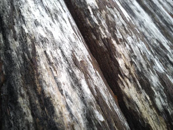 El efecto de la humedad en la madera. Un tronco de construcción para su uso en construcción sin aserrado longitudinal. Surtido de madera redonda. Fragmento de la construcción de troncos redondeados de madera . —  Fotos de Stock