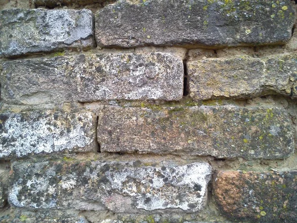 Τοίχος. Κεραμική τοιχοποιία ή φράχτη. Παλιό, άνισο τούβλο, καλυμμένο σε κάποια σημεία με βρύα. Υφή από καταρρέουσα πέτρα με βρύα και μούχλα. Η επίδραση της υγρασίας στα κτίρια — Φωτογραφία Αρχείου