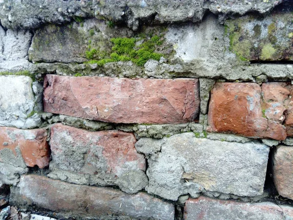 Τοίχος. Κεραμική τοιχοποιία ή φράχτη. Παλιό, άνισο τούβλο, καλυμμένο με βρύα και μούχλα. Η υφή της πέτρας ή του ορυκτού. Η επίδραση της υγρασίας στις κατασκευές τούβλων — Φωτογραφία Αρχείου