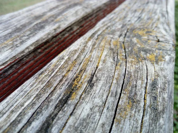 Textura de madeira. Um banco de madeira. Musgo e líquenes na superfície. Rachaduras no tronco. O produto das placas. Humidade em madeira — Fotografia de Stock