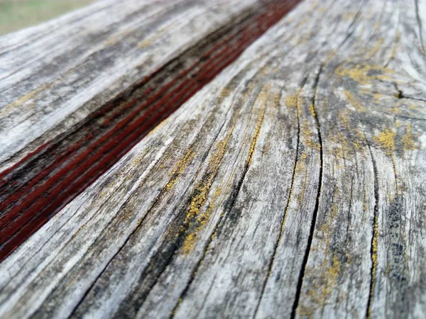 Textura de madeira. Um banco de madeira. Musgo e líquenes na superfície. Rachaduras no tronco. O produto das placas. Humidade em madeira — Fotografia de Stock