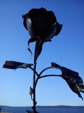 Yazın Onega Gölü kıyısında yapraklar ve yapraklarla dövülmüş metal gül. Mavi arka planda çiçek açan bir bitkinin siyah silueti.