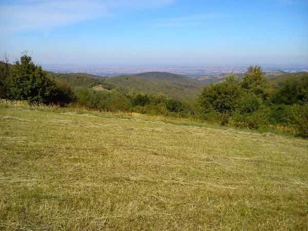 Paysage de la pente des montagnes Fruska en Serbie au début de l'automne. Pente raide après la fenaison. L'herbe sèche est coupée. En arrière-plan, végétation, ciel et distance — Photo