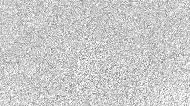 Çiçek temalı gri çizgileri olan beyaz bir arkaplanda soyut bir görüntü. Beyaz arka planda gri desenler var. Bitki ve çiçek desenleri