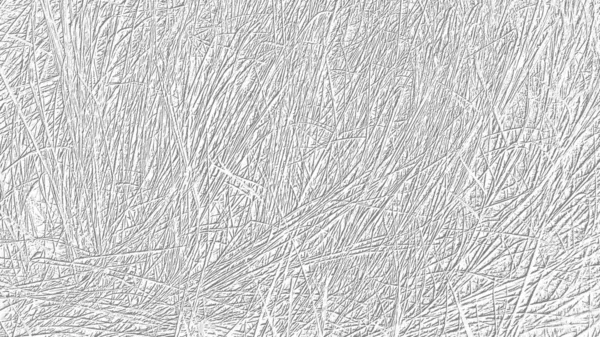 Gray and white floral background. Hay and dry grass, single stems, reeds or sticks. Gray dashes on a white background. Image for background or illustration