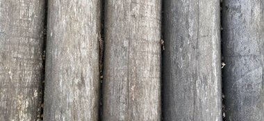 Yuvarlak kereste çeşidi. Yuvarlak ahşap kütüklerin yapımının bir parçası. Nemin ahşap üzerindeki etkisi. Boylam testeresi olmayan bir inşaat kütüğü. Ahşap yapı.