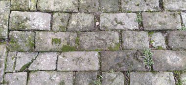 Eski kaldırım taşları. Kiremit gibi serilmiş gri dikdörtgen taşlar. Rutubetli kadim yol. Yosun, ot, yaprak ve toprak içeren taşlar. Geçmişe dönüş. Yol için taş dokusu