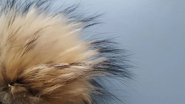 Grande pompom macio feito de pele natural marrom ou bege luz. Suave e agradável ao acessório de toque. Tampas superiores. Elemento de design para roupas infantis de inverno. Material macio fofo — Fotografia de Stock