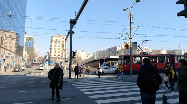 Belgrade Serbia January 2020 Pedestrian Crossing People Slavia Square Center — стокове фото