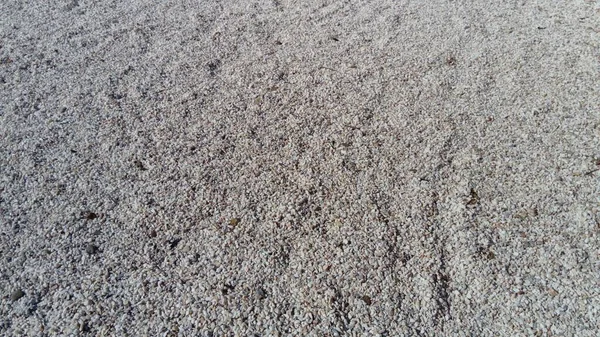 하얀 작은 자갈이나 장식용 자갈입니다. 자연의 일광. 원석의 거친 표면 이 있는 질감. 페블 해변 — 스톡 사진