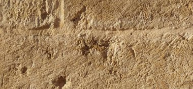 Güzel kumtaşı, sıkıştırılmış kum. Eski bir mermer anıtın taş dokusu. Parlak sarı renk, pürüzlü yüzey, uçakta bireysel hasar. Akşam güneşi. Eski mimari.