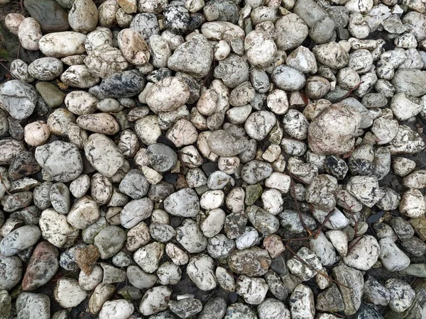 Piedras Redondas Blancas Grises Similares Mármol Claro Hermosas Piedras Húmedas —  Fotos de Stock