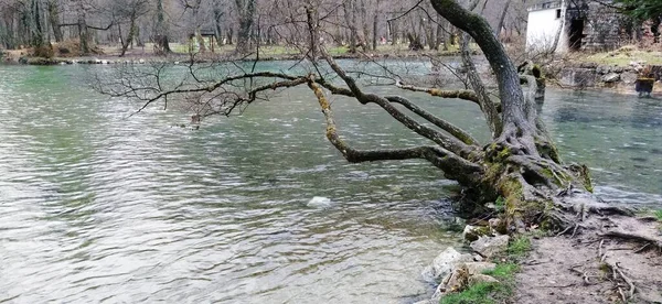 National Natural Monument Source Bosnia Canton Sarajevo Beginning Milatsky River — Stock fotografie