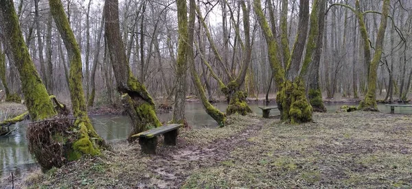 Monumento Natural Nacional Fonte Bósnia Cantão Sarajevo Início Rio Milatsky — Fotografia de Stock